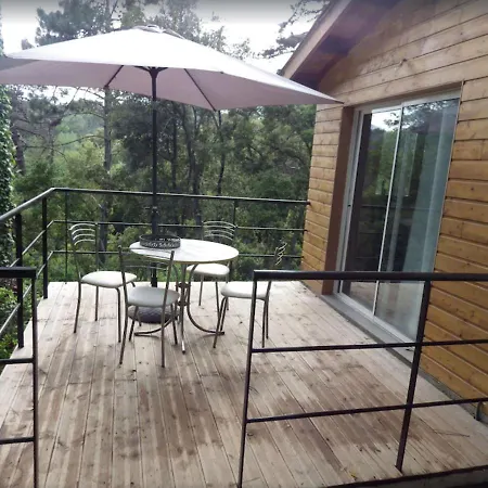 Petite Maison Dans Les Pins